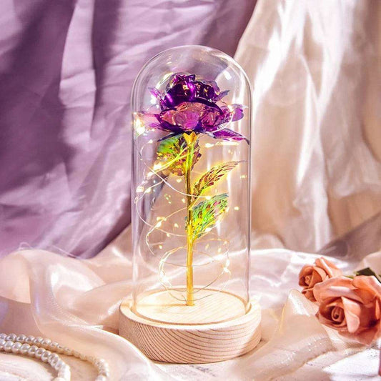 Forever Light Rose