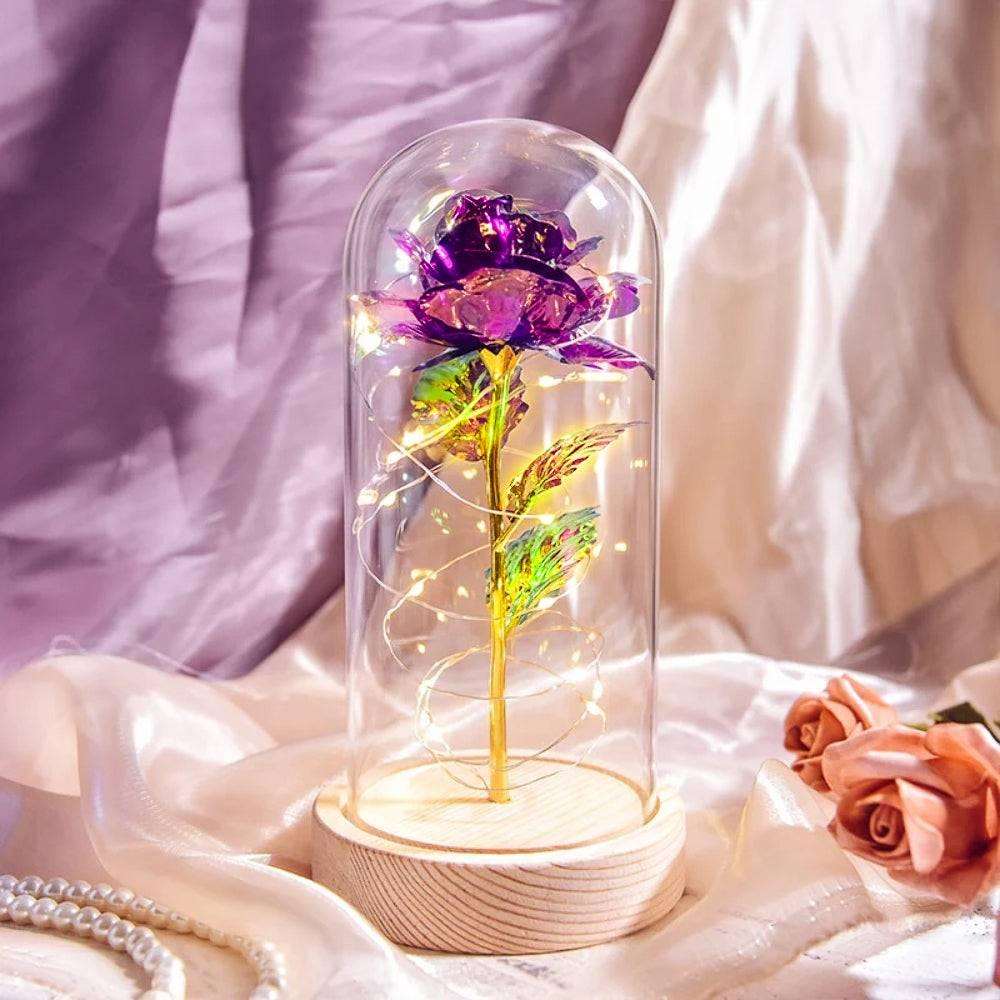 Forever Light Rose