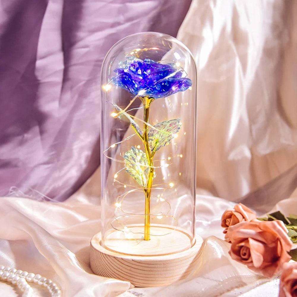 Forever Light Rose