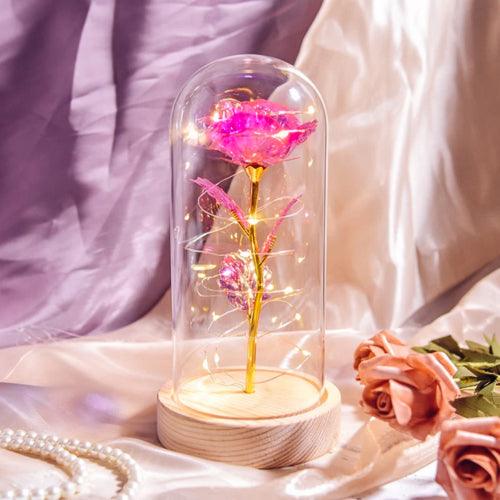 Forever Light Rose
