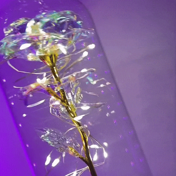 Forever Light Rose