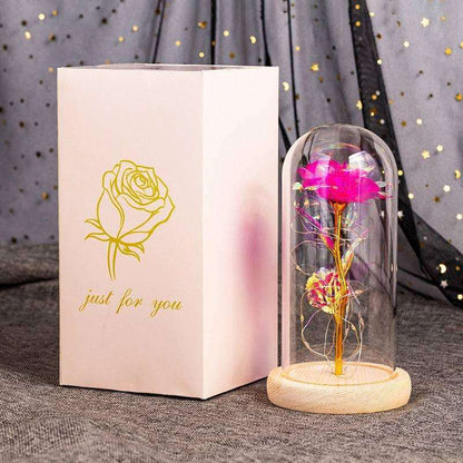 Forever Light Rose