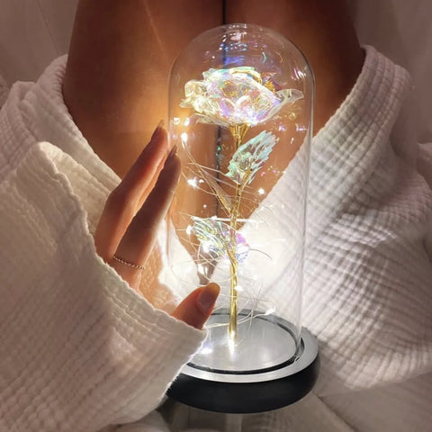 Forever Light Rose