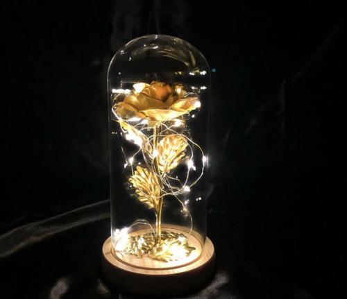 Forever Light Rose