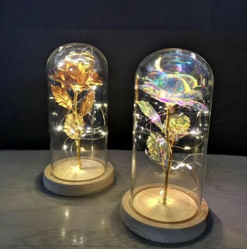 Forever Light Rose